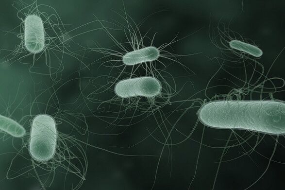 Mikroorganismen, die bei Erregung pathologische Entladungen verursachen